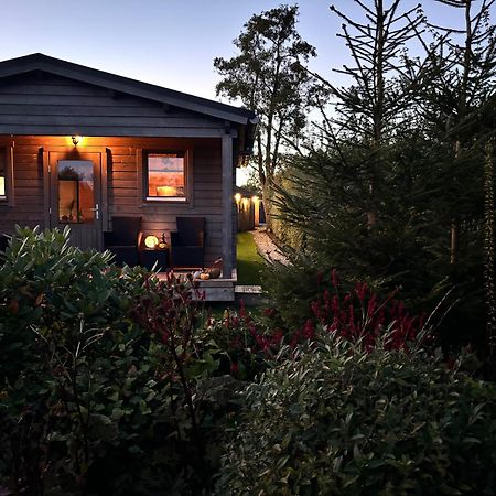 Chalet In Het Groen Met Airco Drachtstercompagnie Exterior photo